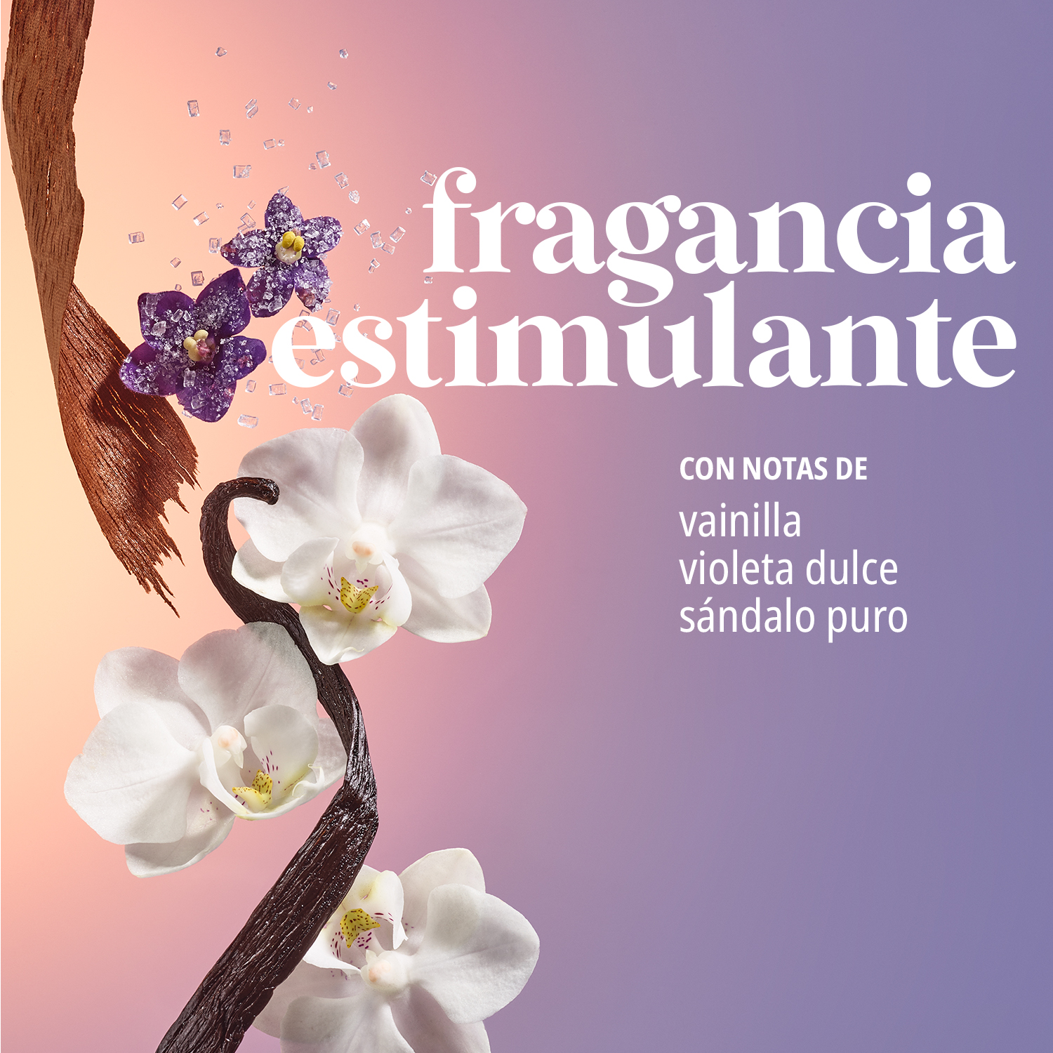 DELÍCIA DRENCH™ JET SET ( SET DE RUTINA HIDRATANTE)